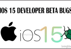 iOS 15 developer beta bugs