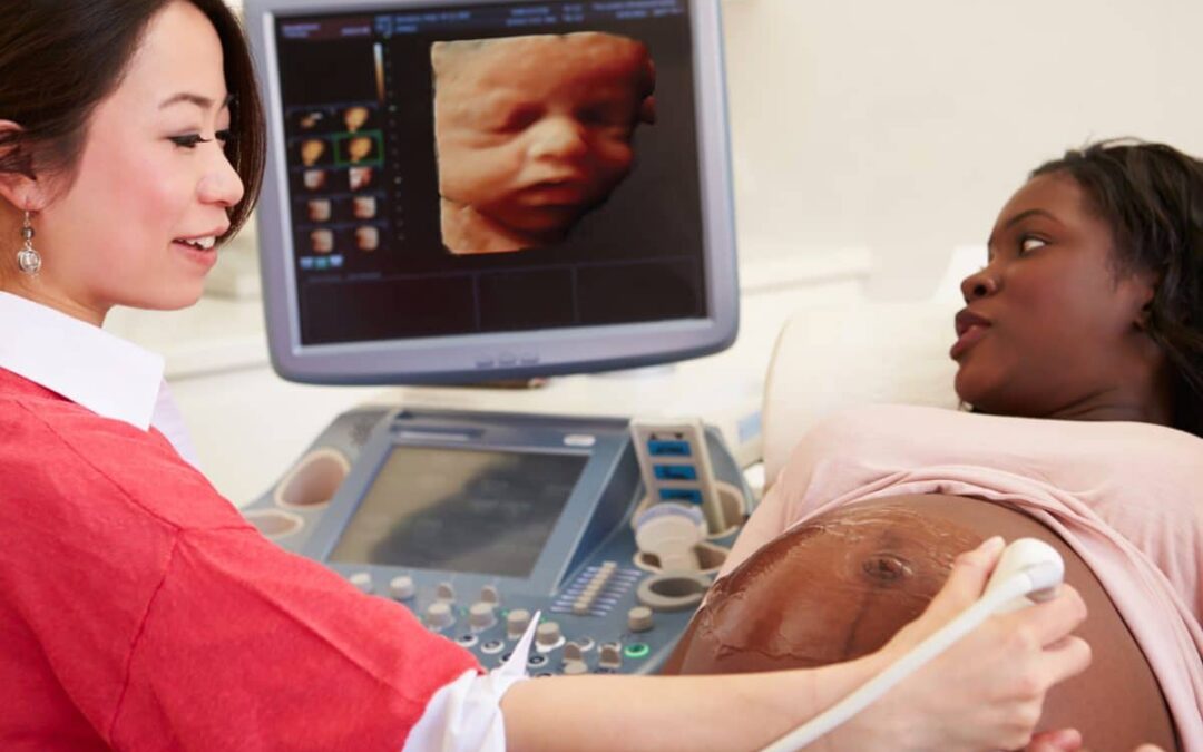 3D/4D Ultrasound Training