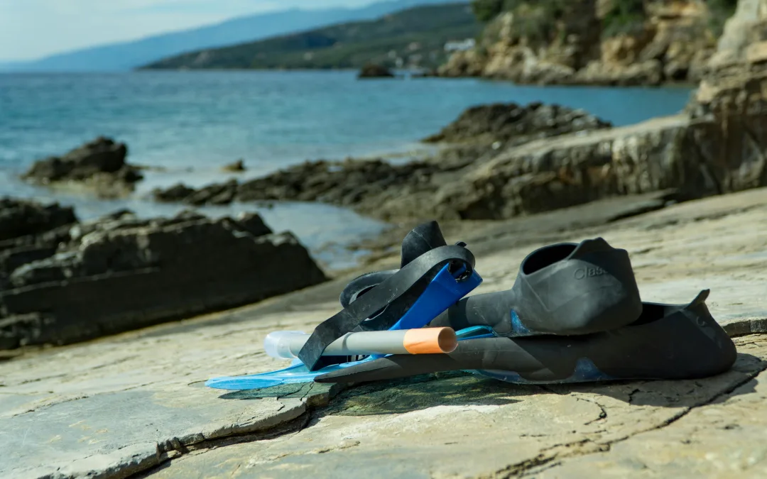 Snorkeling Equipment: The best snorkeling gear for 2024